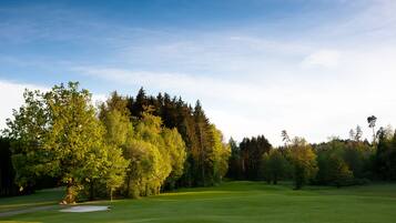 Ein Golfplatz mit einem gepflegten Grün, Sandbunkern und verschiedenen Bäumen.