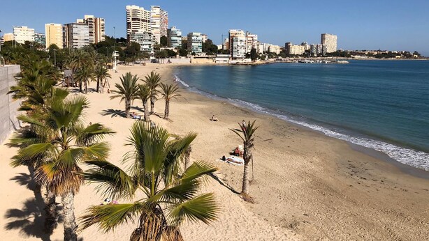 Une plage bordée de palmiers, avec une vue sur la ville en arrière-plan.