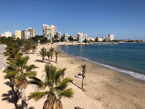A beach with palm trees and a cityscape in the background. - Hostal El Paraíso (Alicante)