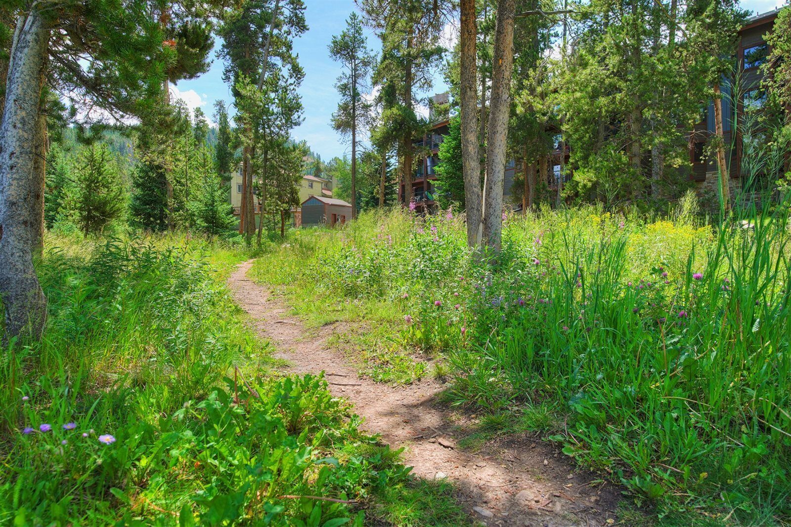 コンドミニアム | 外観