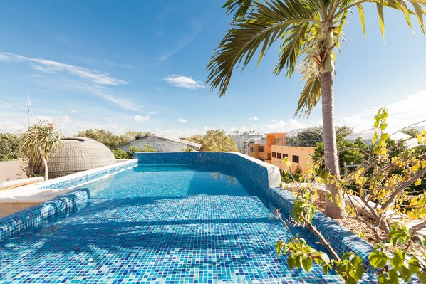 Alberca al aire libre y alberca en la azotea