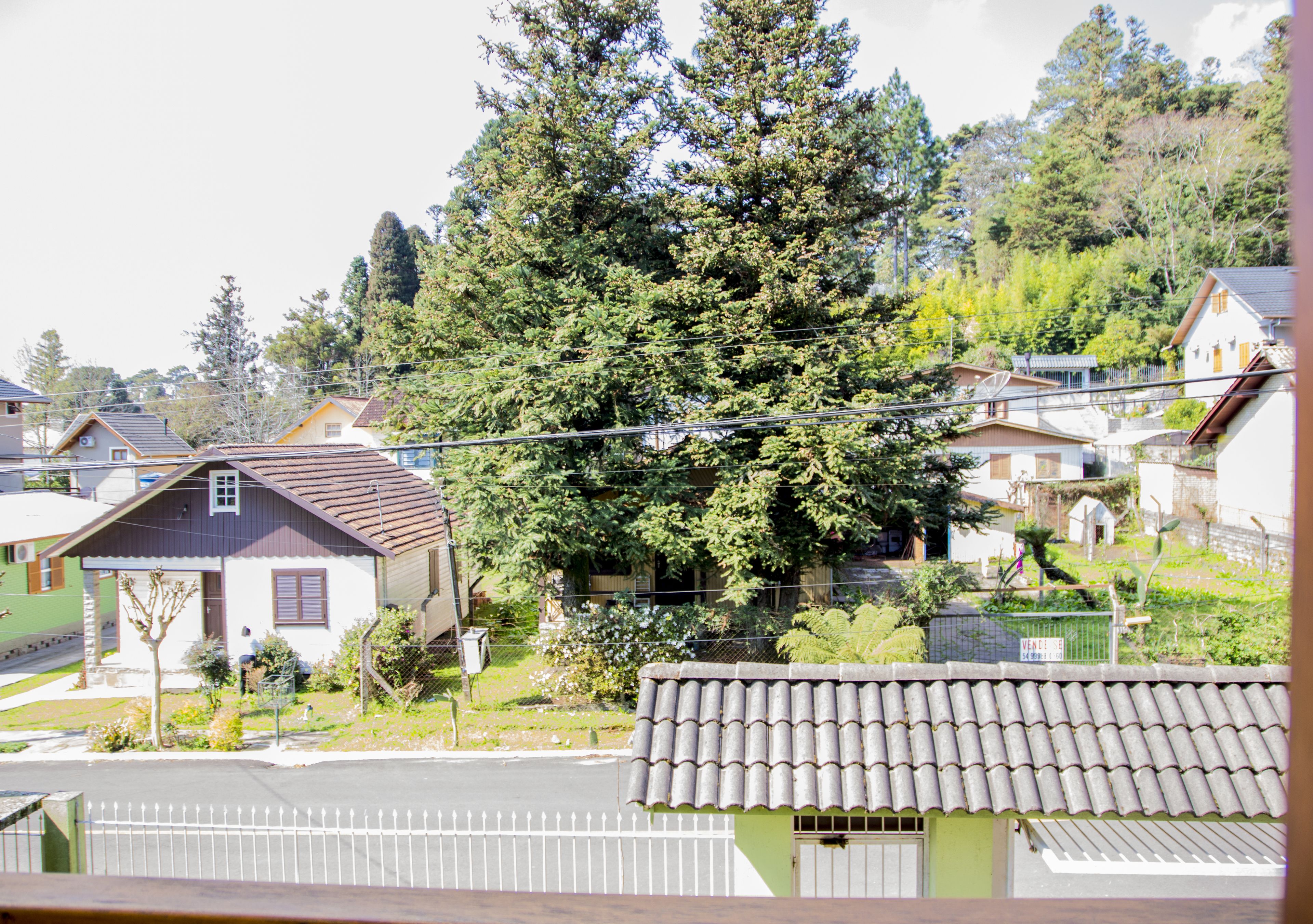 Foto - Pousada Caminho dos Plátanos