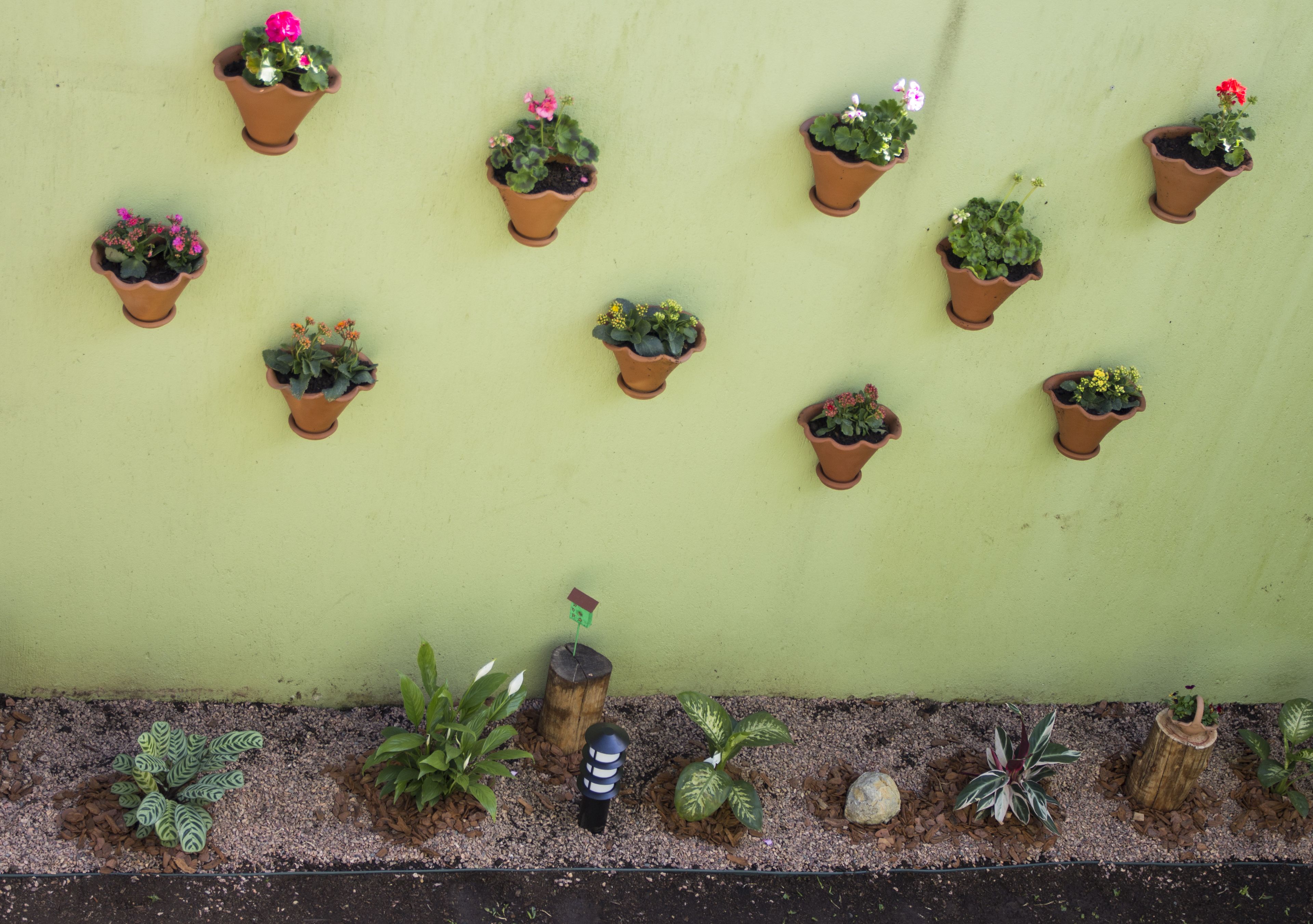 Foto - Pousada Caminho dos Plátanos