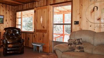 TV, fireplace, DVD player