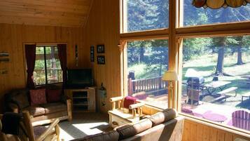 Flat-screen TV, fireplace, DVD player