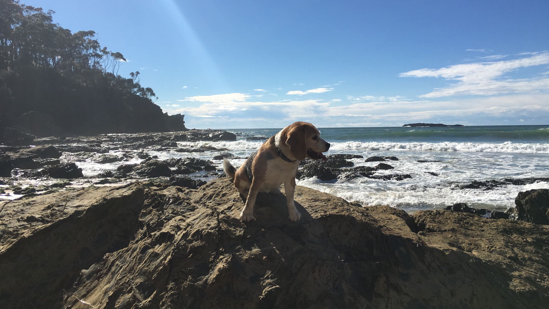 On the beach, beach towels