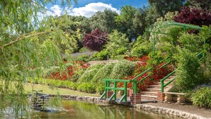 Ein Garten mit Teich, einer grünen Treppe und unterschiedlichen Pflanzen und Blumen.