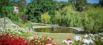 Garden Cottage olives