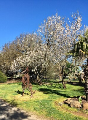 Garden - Sutton Spring Art Retreats (Daylesford)