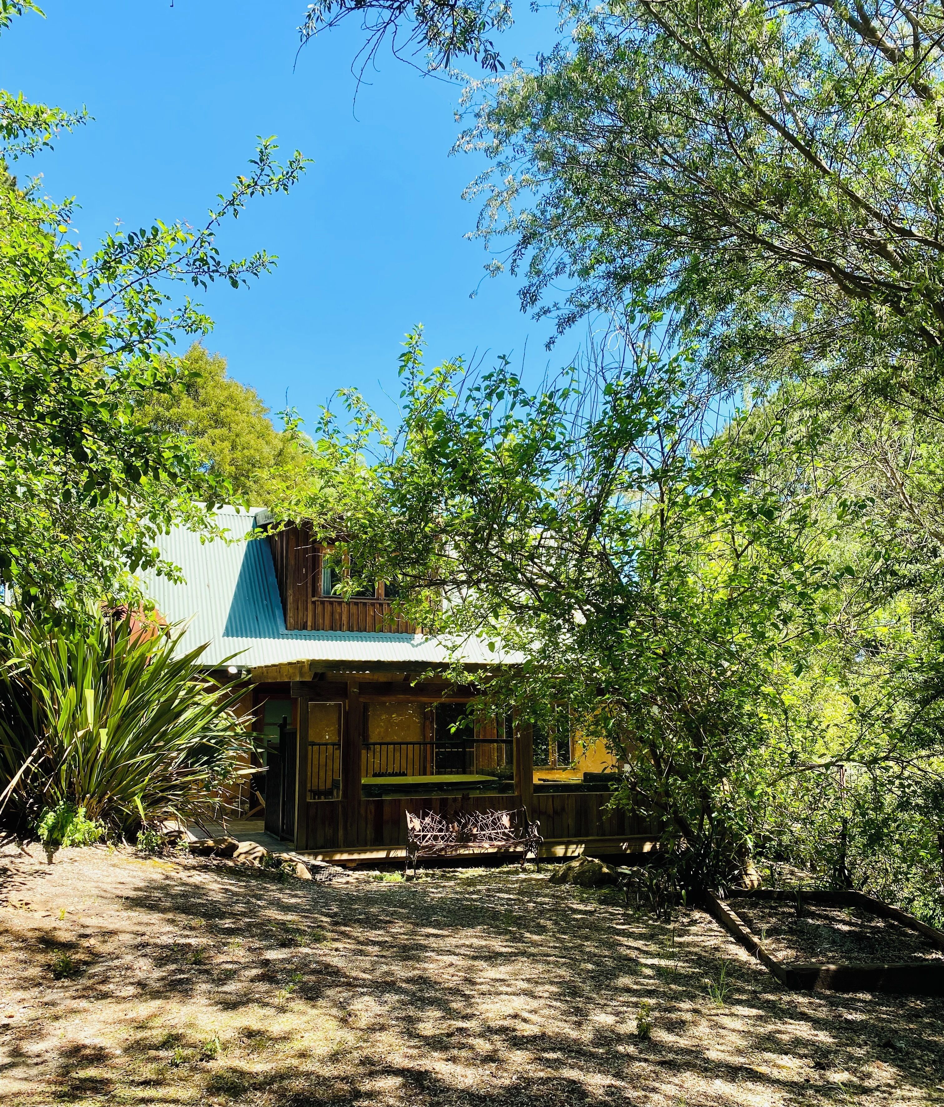 Une maison rustique en bois, surmontée d’un toit en tôle ondulée, entourée d’une végétation luxuriante et d’arbres.