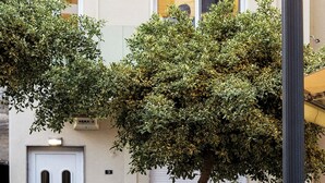 Un edificio a due piani con un balcone, una porta e una finestra.