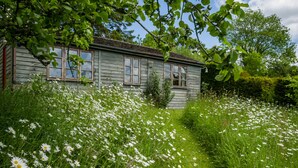 A rustic wooden house surrounded by a field of white daisies. - The School House, Coryton - a peaceful retreat  (sleeps 6+toddler) (Devon)