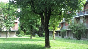 Un patio con un gran árbol en el centro, rodeado de césped y pequeñas flores.