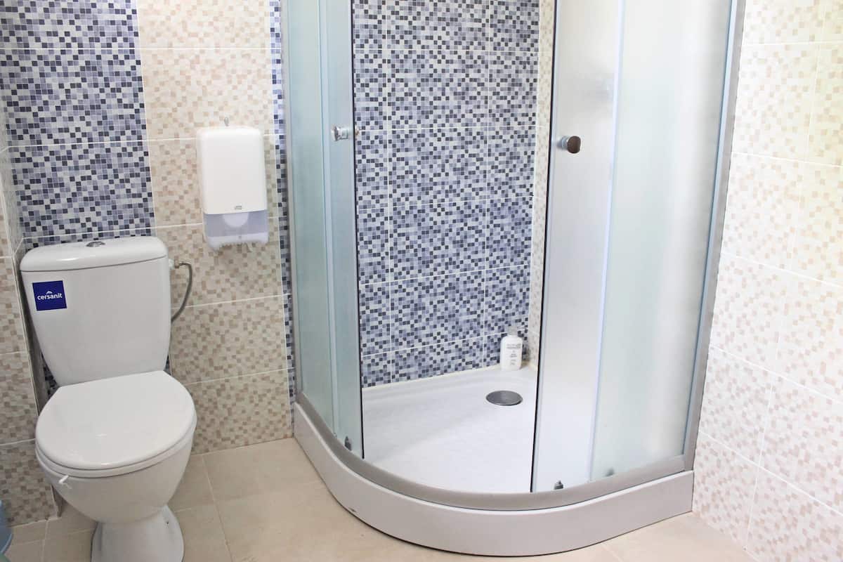 shower, free toiletries, hair dryer, towels