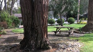 Garden - Fanny's (Calistoga)