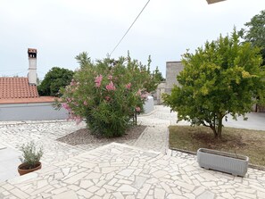 المنطقة المحيطة بالمنشأة