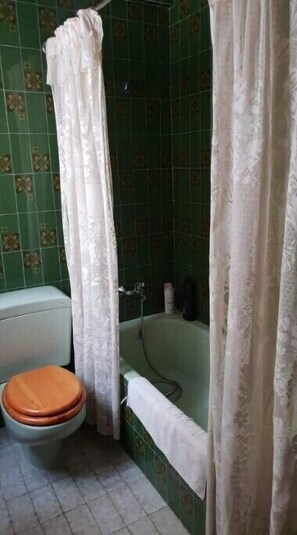 Banheira, secador de cabelo, bidê, toalhas de banho