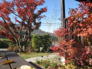 Property grounds - Bikkuri Rietan (Kijimadaira)