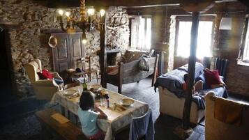 TV, fireplace, DVD player