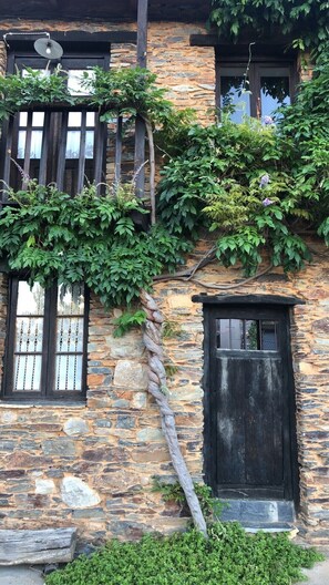 Detalle del exterior
