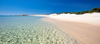 Nice two-room apartment with large garden with green lawn and vegetation