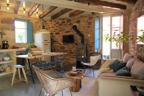 TV, fireplace, books