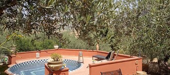 Villino A i Villa Angela (Chien, hund, hunde)