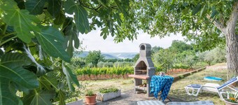 HOUSE IMMERSED IN NATURE 