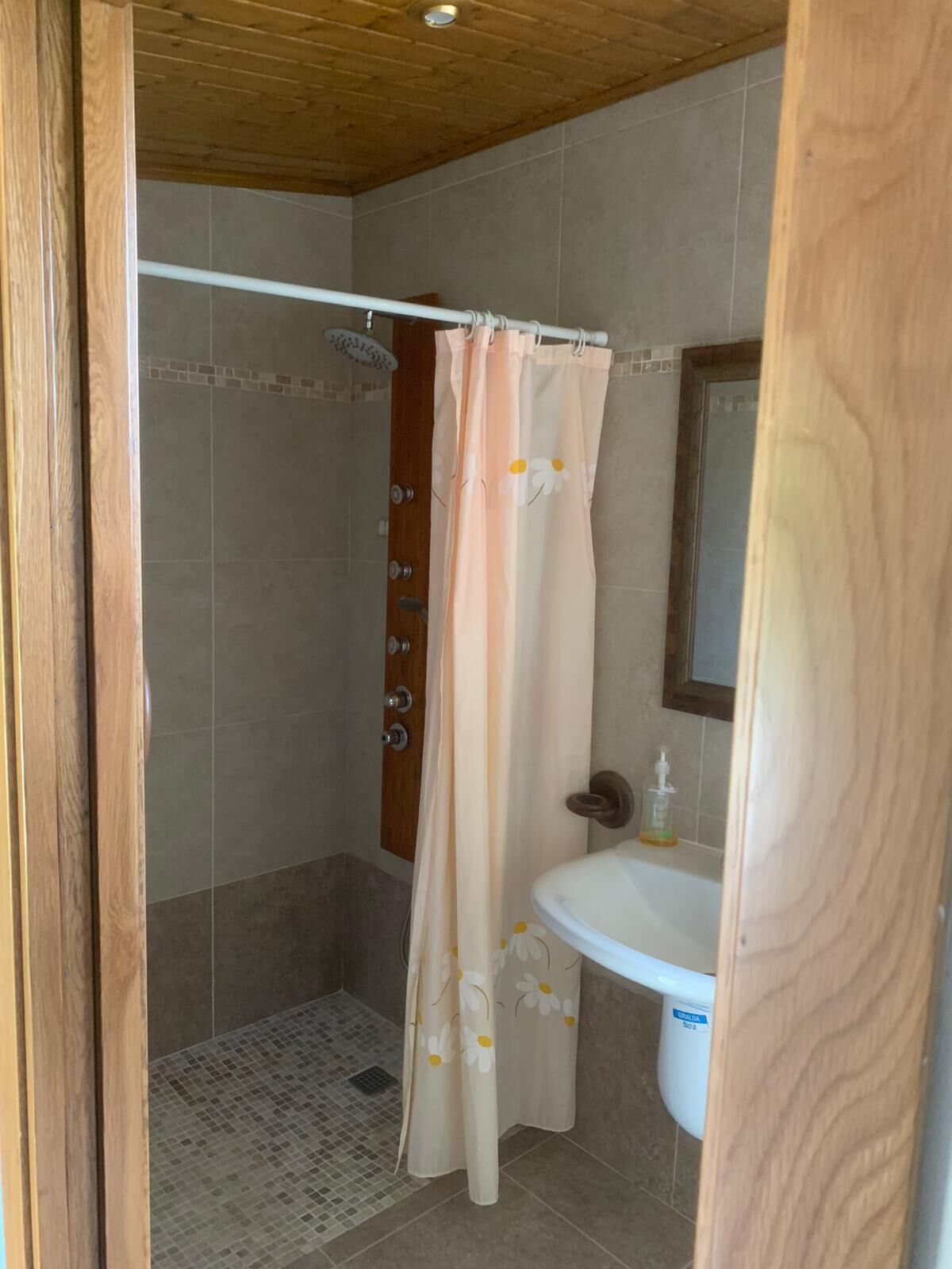 Douche, sèche-cheveux, serviettes fournies, papier toilette