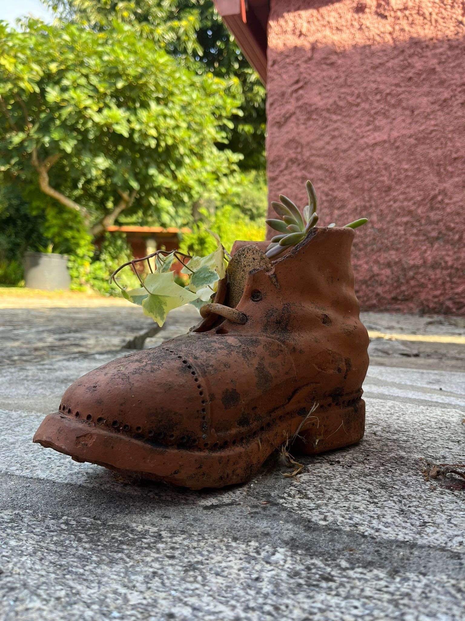 Une vieille chaussure marron, usée, avec une plante qui pousse à l’intérieur, posée sur une surface en béton.
