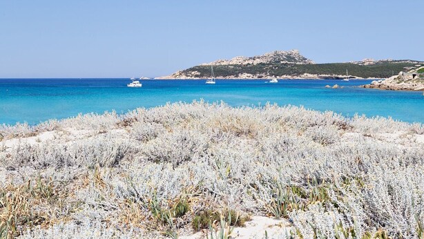 A coastal landscape with a clear blue sea, rocky outcrops, and sparse vegetation. - Charming villa with magnificent sea view (Santa Teresa di Gallura)