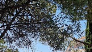 A blue building with a white balcony, surrounded by greenery and a patio with a table and chairs. - Villa with a privileged panoramic view (Loule)