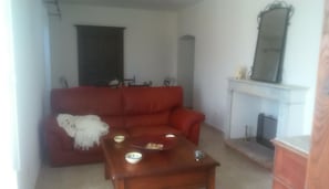 Télévision, cheminée, livres