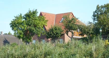 Blick auf Vilm