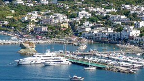 A marina with multiple boats docked, a prominent rock formation, and a densely built urban area in the background.