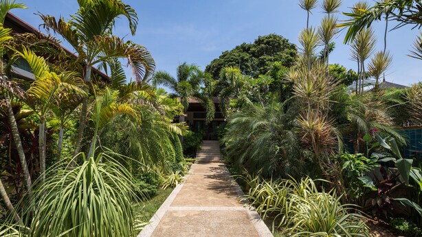 A pathway flanked by lush tropical plants leading to a building with a brown roof. - Villa Oxavia (Rawai)