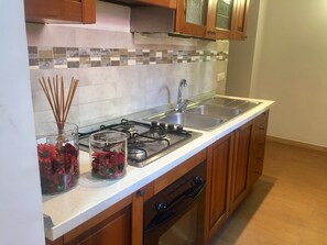 Fridge, stovetop, cookware/dishes/utensils