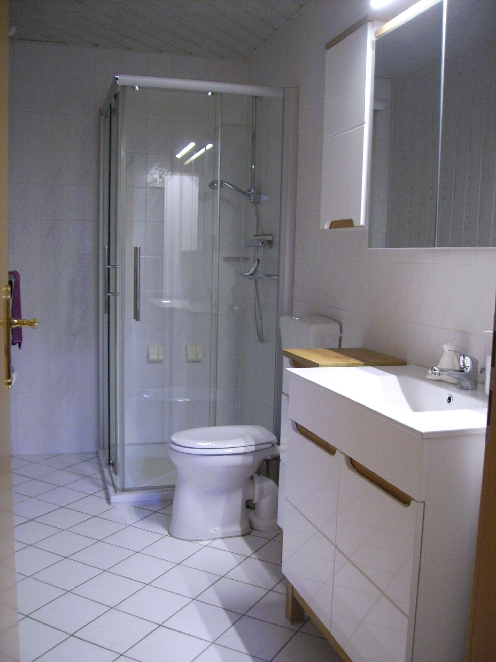 Une salle de bain avec une douche à parois de verre, des toilettes blanches et un lavabo avec un miroir au-dessus.