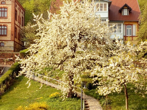 Basic-Maisonette, Mehrere Betten, Nichtraucher, Gartenblick | 1 Schlafzimmer, Bügeleisen/Bügelbrett