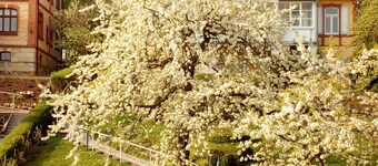 Ferienwohnungen Fröhlich