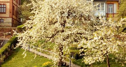 Ferienwohnungen Fröhlich