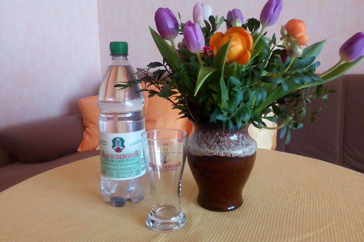 A table with a bottle of mineral water, a glass, and a vase with flowers.