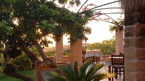 Jardín