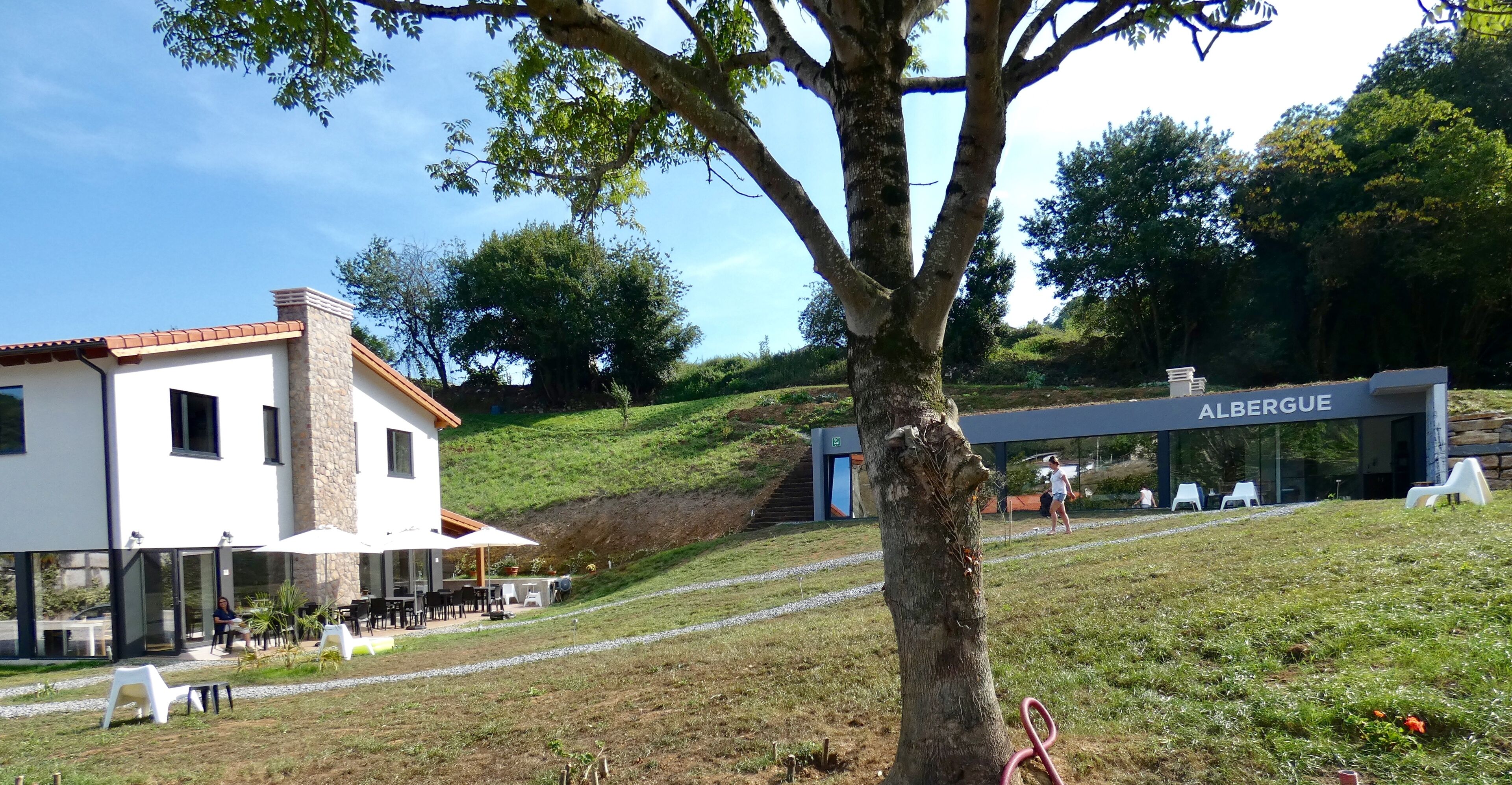 Un edificio moderno con facciata in pietra e ingresso in vetro, circondato da un'area verde con posti a sedere all'aperto e un albero.