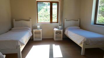 Habitacion doble con cama supletoria y vistas a la montaña | 10 chambres, literie de qualité supérieure, couette en duvet d'oie