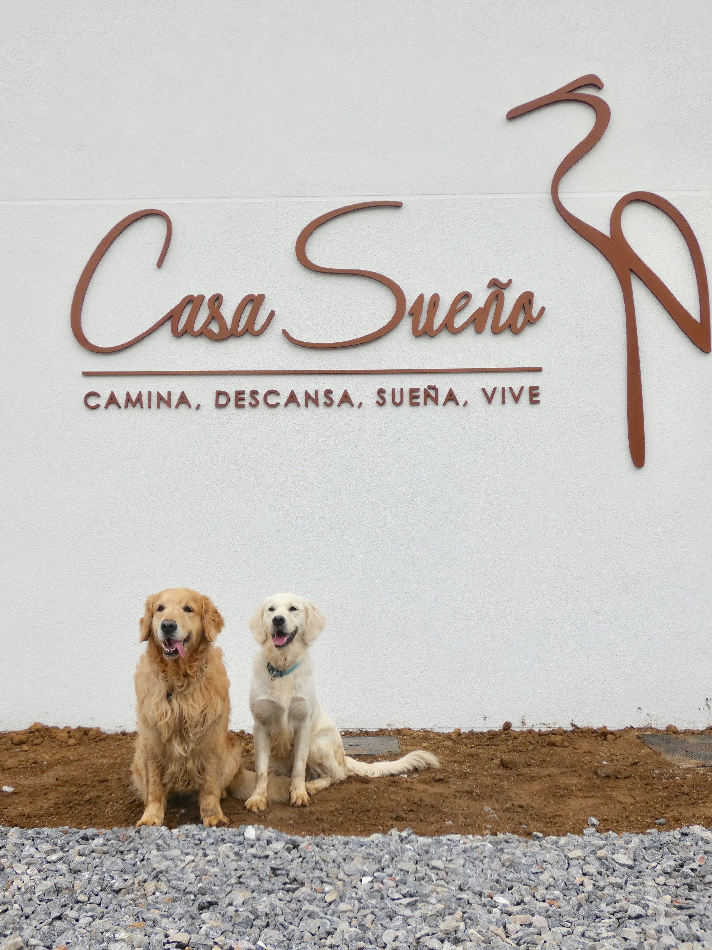 A sign for 'Casa Sueño' with two dogs sitting in front.