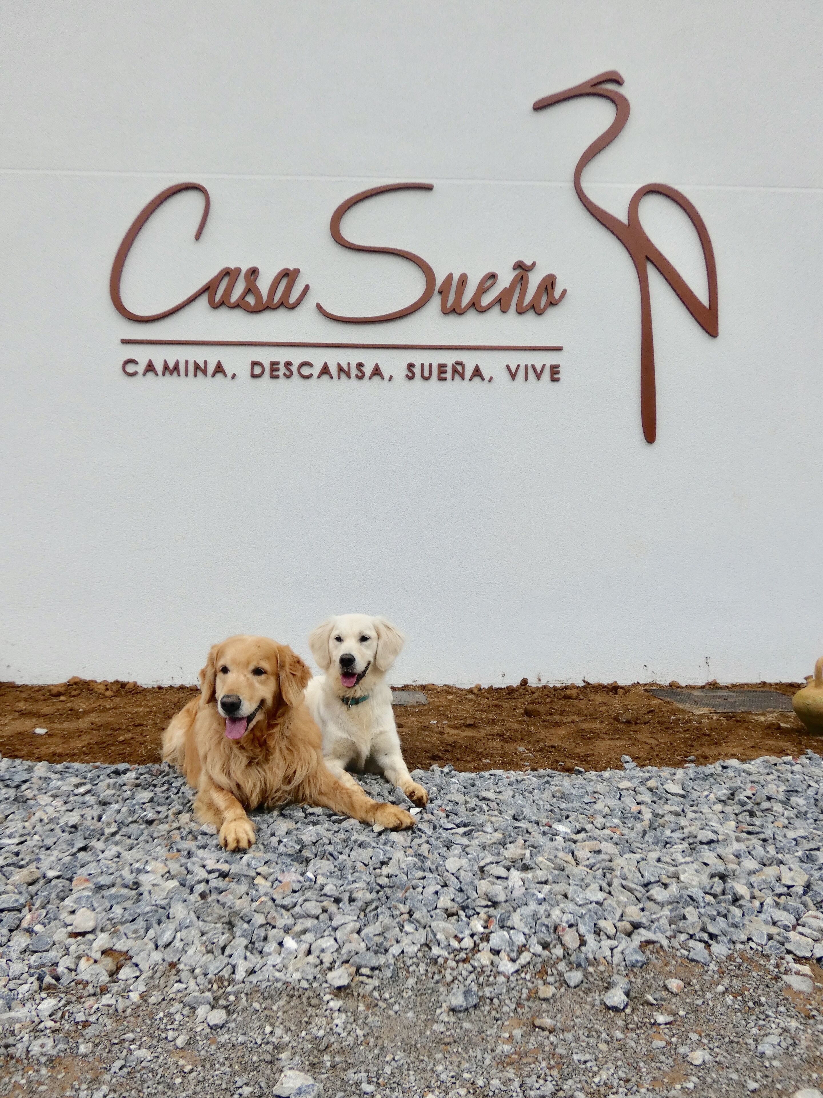 Two dogs sitting on gravel in front of a wall with the text "Casa Sueno CAMINA, DESCANSA, SUENA, VIVE".
