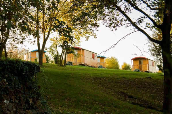 Property grounds - La Fontaine de l'Ermitage (Saint-Hilaire-sur-Helpe)