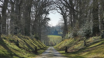 Family Suite, Ensuite, Garden View | Exterior
