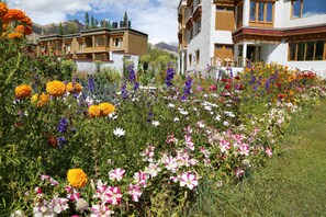 Garden view - Ladakh Himalayan Retreat (Leh)